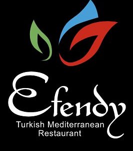 Efendy logo